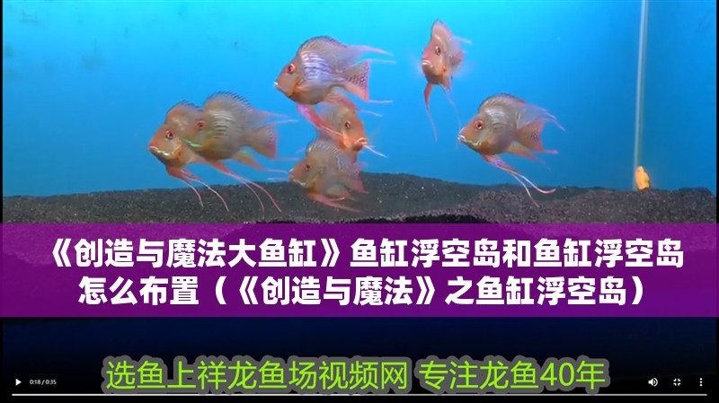 《創造與魔法大魚缸》魚缸浮空島和魚缸浮空島怎么布置（《創造與魔法》之魚缸浮空島） 《創造與魔法大魚缸》魚缸浮空島和魚缸浮空島怎么布置（《創造與魔法》之魚缸浮空島） 觀賞魚百科