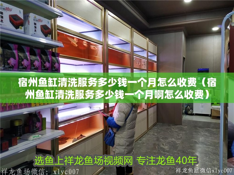 宿州魚缸清洗服務多少錢一個月怎么收費（宿州魚缸清洗服務多少錢一個月啊怎么收費）