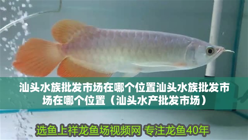 汕頭水族批發市場在哪個位置汕頭水族批發市場在哪個位置（汕頭水產批發市場）