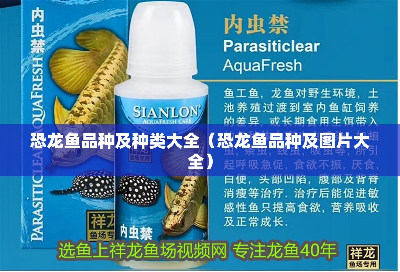 恐龍魚品種及種類大全（恐龍魚品種及圖片大全）