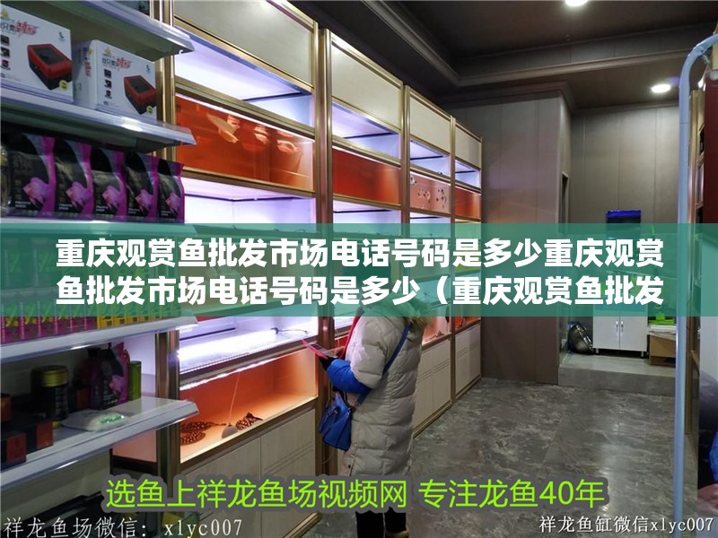 重慶觀賞魚批發(fā)市場電話號碼是多少重慶觀賞魚批發(fā)市場電話號碼是多少（重慶觀賞魚批發(fā)市場）