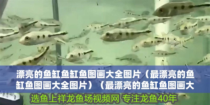 漂亮的魚缸魚缸魚圖畫大全圖片（最漂亮的魚缸魚圖畫大全圖片）（最漂亮的魚缸魚圖畫大全圖片）
