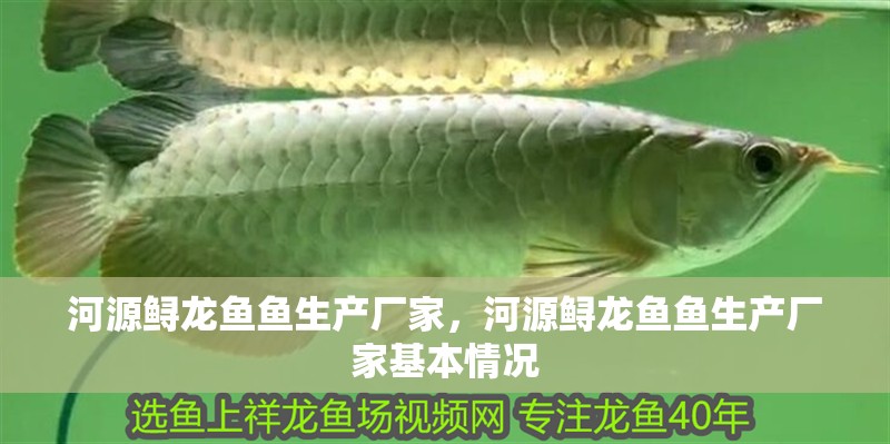 <strong><mark>河源</mark></strong>鱘龍魚魚生產廠家，<strong><mark>河源</mark></strong>鱘龍魚魚生產廠家基本情況