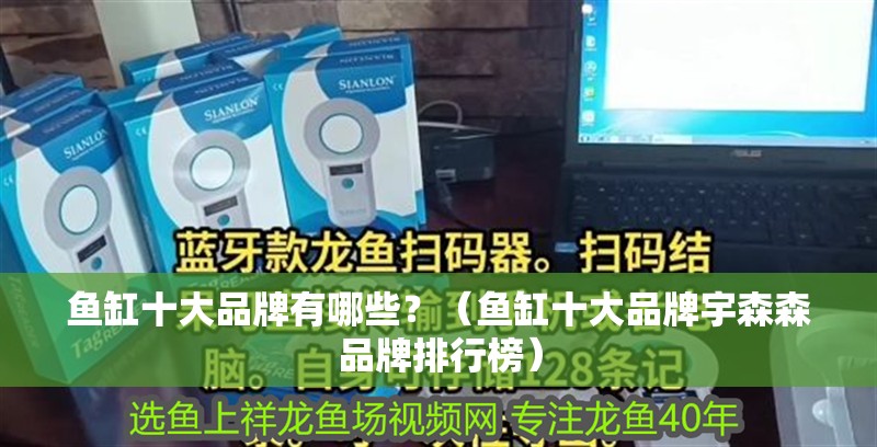 魚缸十大品牌有哪些？（魚缸十大品牌宇森森品牌排行榜） 魚缸十大品牌有哪些？（魚缸十大品牌宇森森品牌排行榜） 觀賞魚百科
