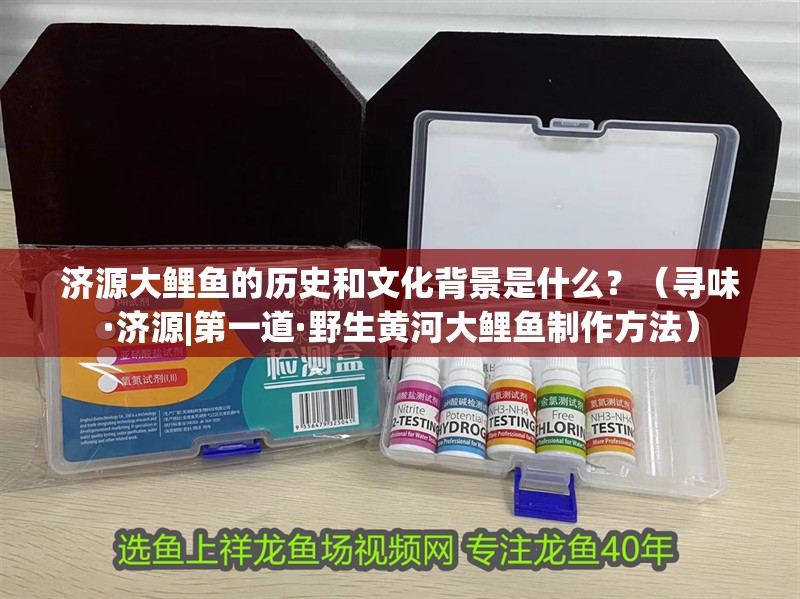 濟(jì)源大鯉魚的歷史和文化背景是什么？（尋味·濟(jì)源|第一道·野生黃河大鯉魚制作方法）