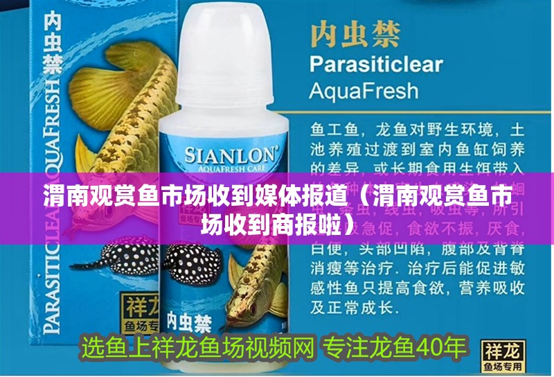 渭南觀賞魚市場收到媒體報道（渭南觀賞魚市場收到商報啦）