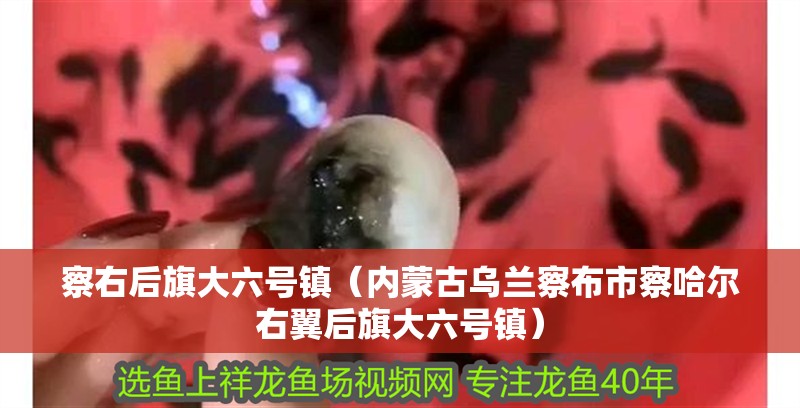 察右后旗大六號鎮（內蒙古烏蘭察布市察哈爾右翼后旗大六號鎮）