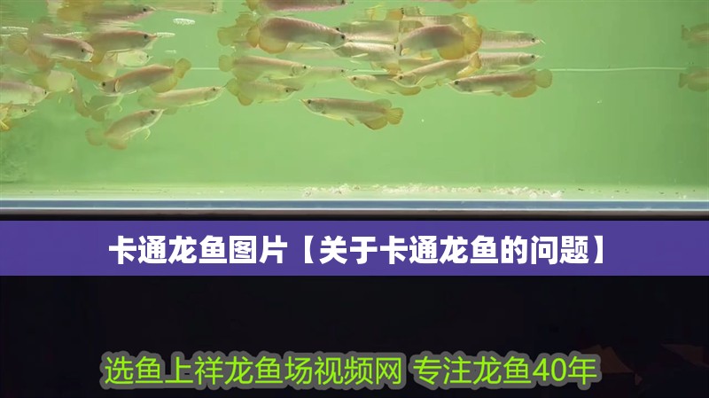 卡通龍魚(yú)圖片【關(guān)于卡通龍魚(yú)的問(wèn)題】