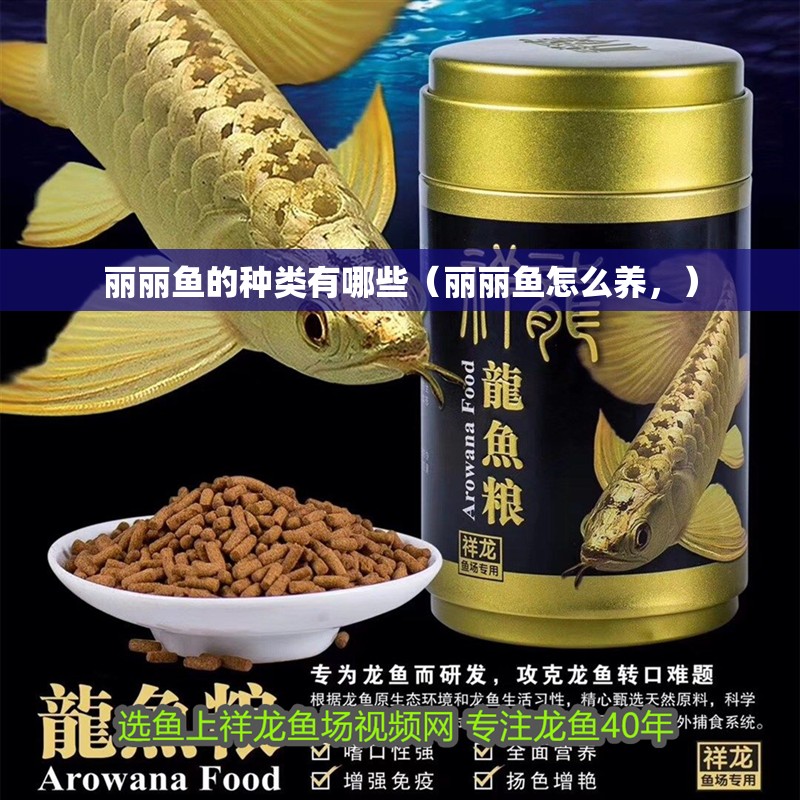 麗麗魚的種類有哪些（麗麗魚怎么養，）