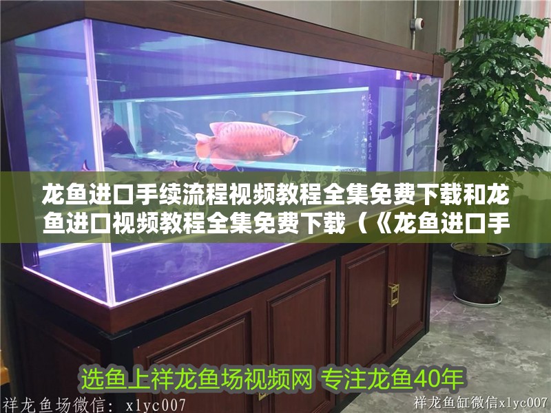 龍魚進(jìn)口手續(xù)流程視頻教程全集免費(fèi)下載和龍魚進(jìn)口視頻教程全集免費(fèi)下載（《龍魚進(jìn)口手續(xù)流程視頻教程全集免費(fèi)下載》）