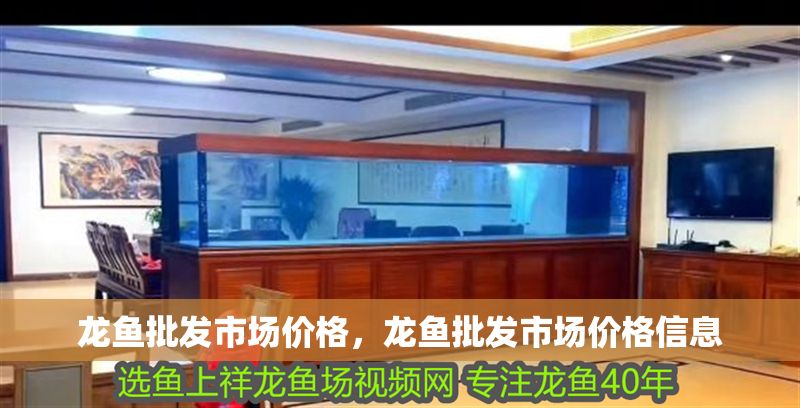 龍魚批發市場價格，龍魚批發市場價格信息
