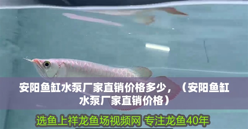 安陽魚缸水泵廠家直銷價格多少，（安陽魚缸水泵廠家直銷價格）