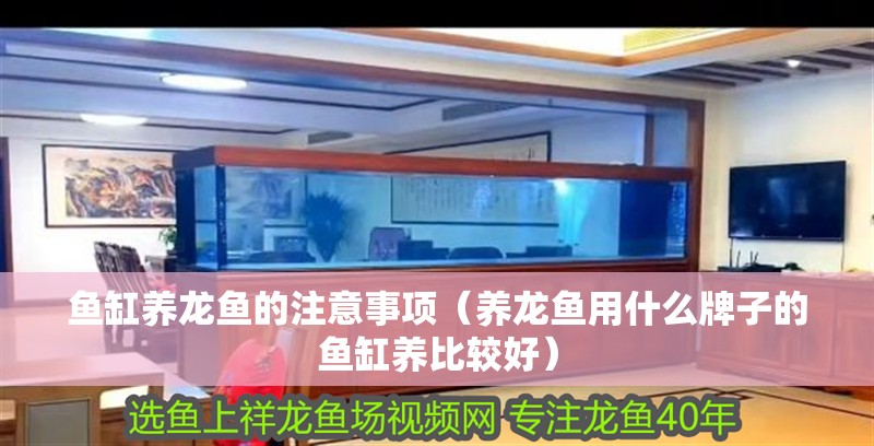 魚缸養龍魚的注意事項（養龍魚用什么牌子的魚缸養比較好）