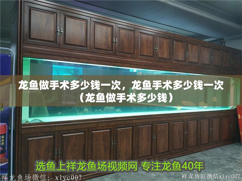 龍魚做手術多少錢一次，龍魚手術多少錢一次（龍魚做手術多少錢）