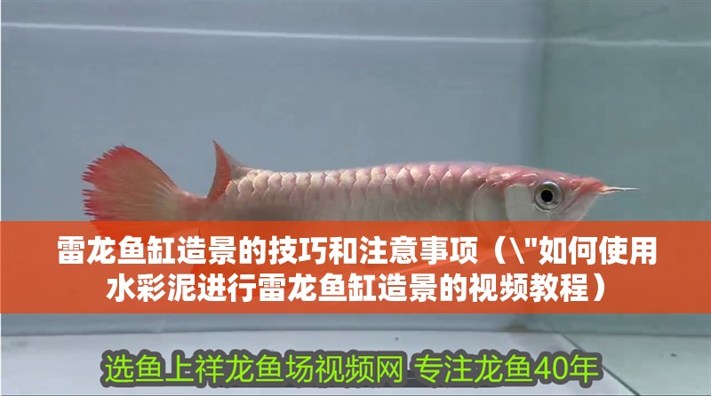 雷龍魚缸造景的技巧和注意事項（ 雷龍魚缸造景的技巧和注意事項（\