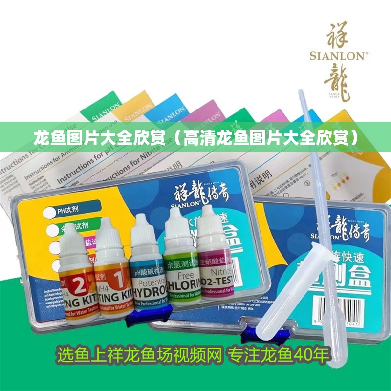 龍魚圖片大全欣賞（高清龍魚圖片大全欣賞） 龍魚圖片大全欣賞（高清龍魚圖片大全欣賞） 觀賞魚百科