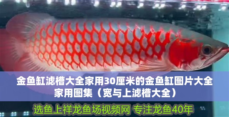 金魚缸濾槽大全家用30厘米的金魚缸圖片大全家用圖集（寬與上濾槽大全）