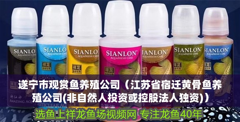 遂寧市觀賞魚養殖公司（江蘇省宿遷黃骨魚養殖公司(非自然人投資或控股法人獨資)）