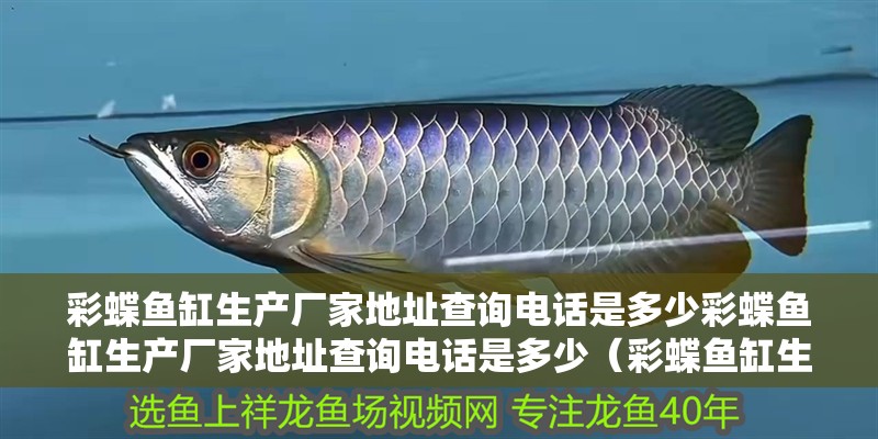 彩蝶魚缸生產廠家地址查詢電話是多少彩蝶魚缸生產廠家地址查詢電話是多少（彩蝶魚缸生產廠家地址查詢電話） 彩蝶魚缸生產廠家地址查詢電話是多少彩蝶魚缸生產廠家地址查詢電話是多少（彩蝶魚缸生產廠家地址查詢電話） 觀賞魚百科
