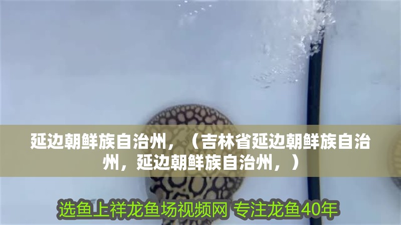 延邊朝鮮族自治州，（<strong><mark>吉林</mark></strong>省延邊朝鮮族自治州，延邊朝鮮族自治州，）