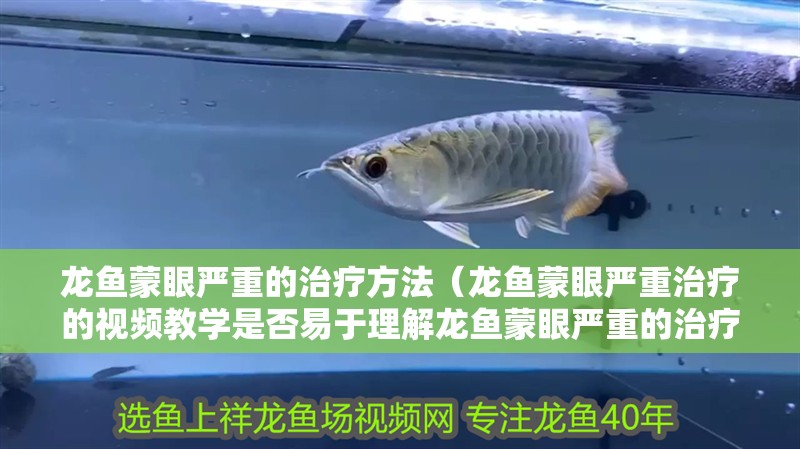 龍魚蒙眼嚴(yán)重的治療方法（龍魚蒙眼嚴(yán)重治療的視頻教學(xué)是否易于理解龍魚蒙眼嚴(yán)重的治療方法）