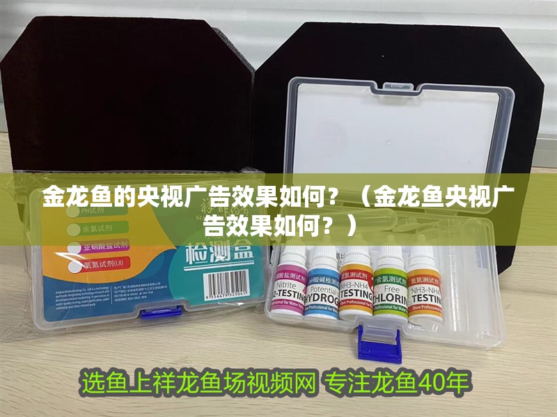 金龍魚的央視廣告效果如何？（金龍魚央視廣告效果如何？）