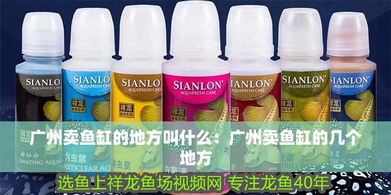廣州賣魚缸的地方叫什么：廣州賣魚缸的幾個地方