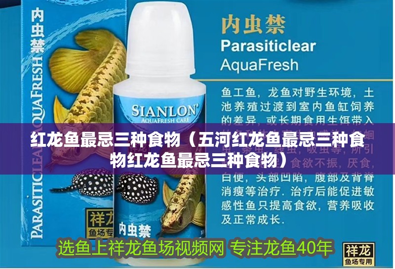 紅龍魚最忌三種食物（五河紅龍魚最忌三種食物紅龍魚最忌三種食物） 紅龍魚最忌三種食物（五河紅龍魚最忌三種食物紅龍魚最忌三種食物） 觀賞魚百科 第3張