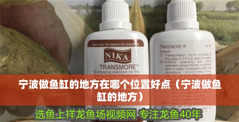 寧波做魚缸的地方在哪個位置好點（寧波做魚缸的地方） 寧波做魚缸的地方在哪個位置好點（寧波做魚缸的地方） 觀賞魚百科