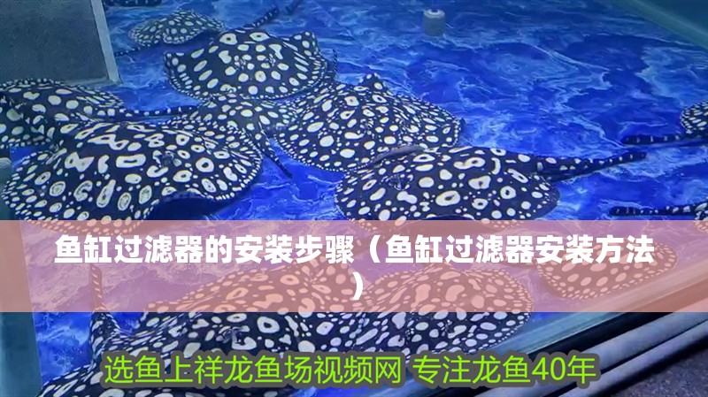 魚缸過濾器的安裝步驟（魚缸過濾器安裝方法）