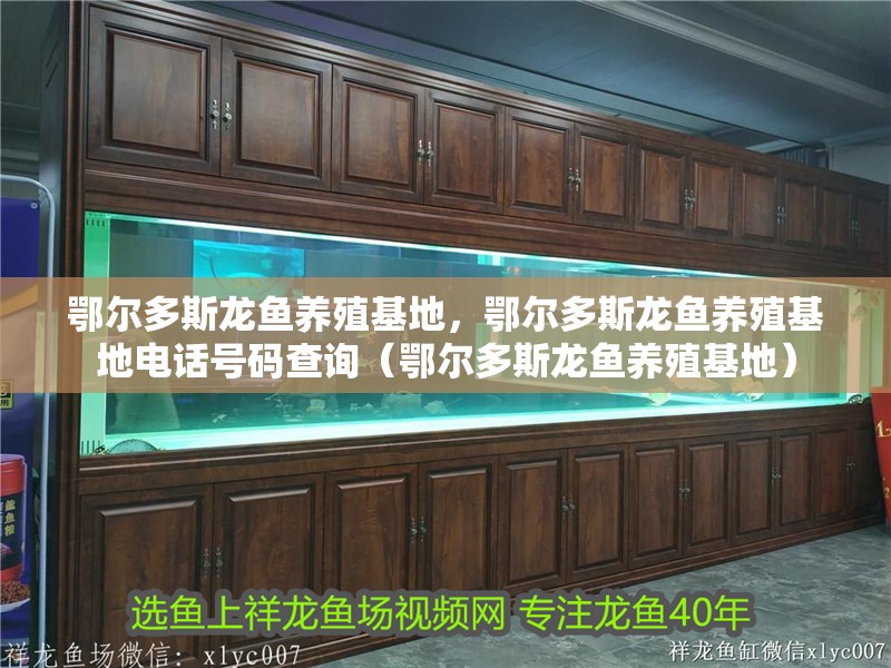 鄂爾多斯龍魚養殖基地，鄂爾多斯龍魚養殖基地電話號碼查詢（鄂爾多斯龍魚養殖基地）