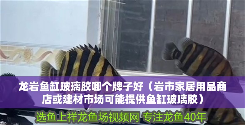 龍巖魚缸玻璃膠哪個牌子好（巖市家居用品商店或建材市場可能提供魚缸玻璃膠）