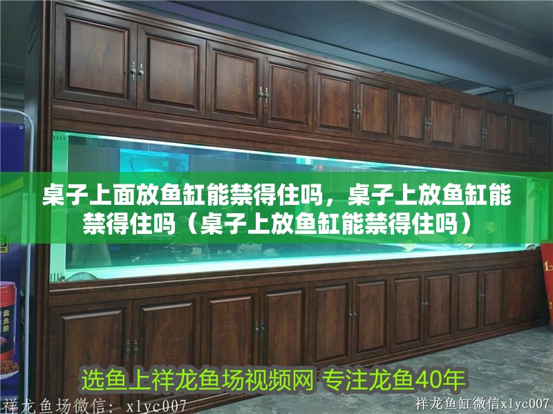 桌子上面放魚缸能禁得住嗎，桌子上放魚缸能禁得住嗎（桌子上放魚缸能禁得住嗎）