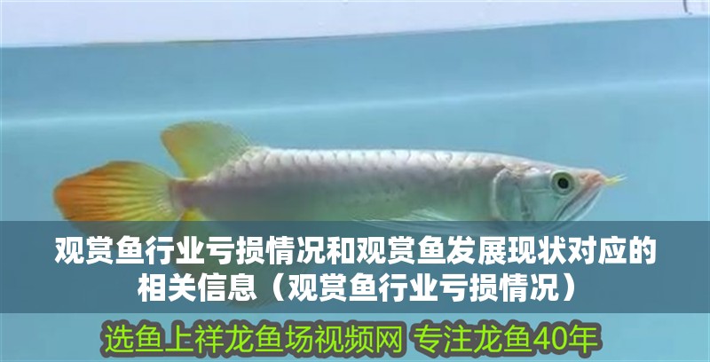 觀賞魚行業虧損情況和觀賞魚發展現狀對應的相關信息（觀賞魚行業虧損情況）