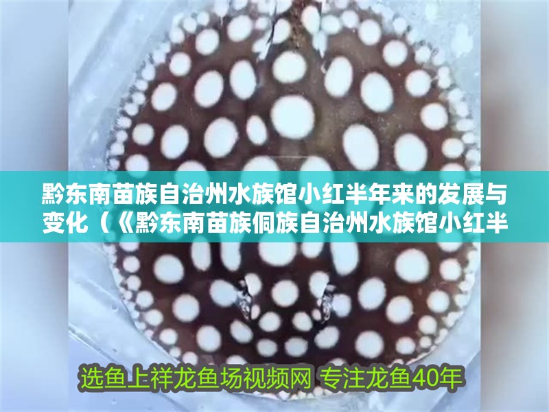 黔東南苗族自治州水族館小紅半年來的發展與變化（《黔東南苗族侗族自治州水族館小紅半年》）