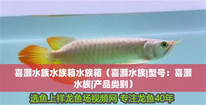 喜灝水族水族箱水族箱（喜灝水族|型號：喜灝水族|產品類別）