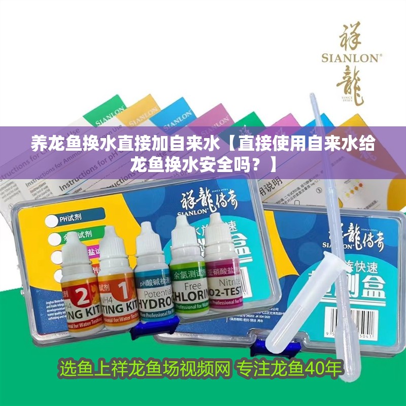 養龍魚換水直接加自來水【直接使用自來水給龍魚換水安全嗎？】