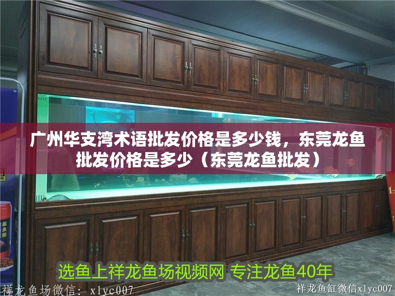 廣州華支灣術語批發價格是多少錢，東莞龍魚批發價格是多少（東莞龍魚批發）