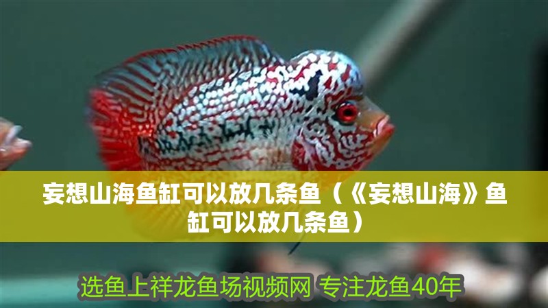 妄想山海魚缸可以放幾條魚（《妄想山海》魚缸可以放幾條魚）