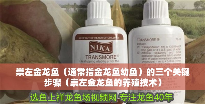 崇左金龍魚（通常指金龍魚幼魚）的三個關鍵步驟（崇左金龍魚的養殖技術）
