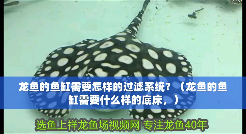 龍魚的魚缸需要怎樣的過濾系統？（龍魚的魚缸需要什么樣的底床，）