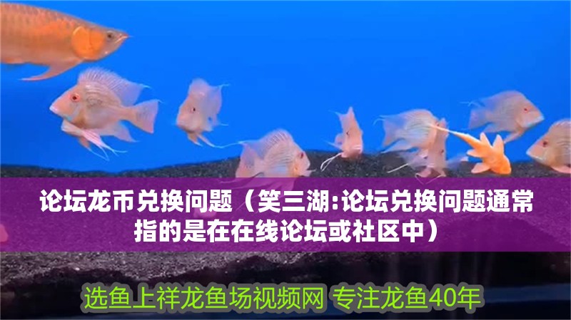 論壇龍幣兌換問題（笑三湖:論壇兌換問題通常指的是在在線論壇或社區中）