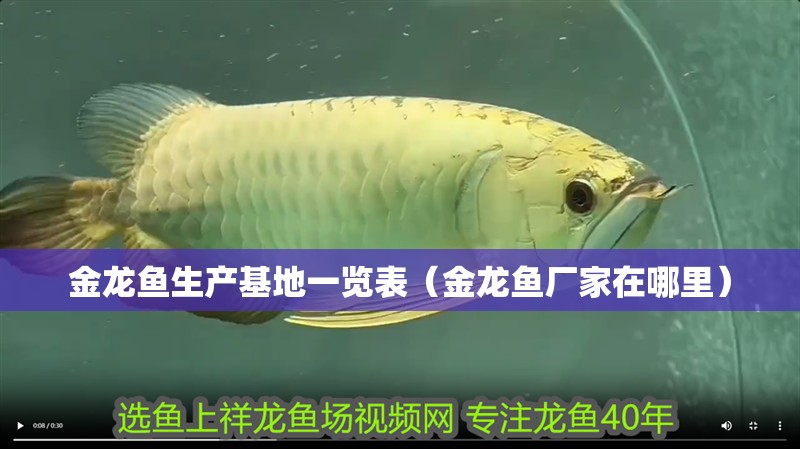 金龍魚生產基地一覽表（金龍魚廠家在哪里）