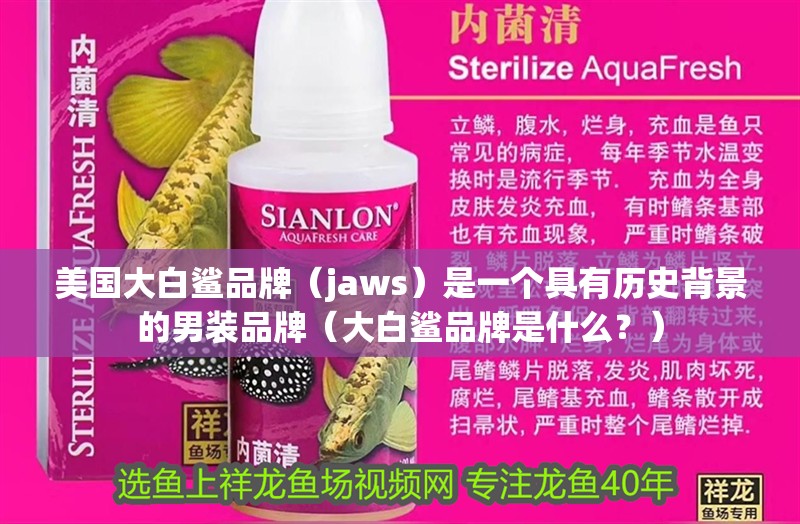 美國(guó)大白鯊品牌（jaws）是一個(gè)具有歷史背景的男裝品牌（大白鯊品牌是什么？） 美國(guó)大白鯊品牌（jaws）是一個(gè)具有歷史背景的男裝品牌（大白鯊品牌是什么？） 觀賞魚(yú)百科 第10張