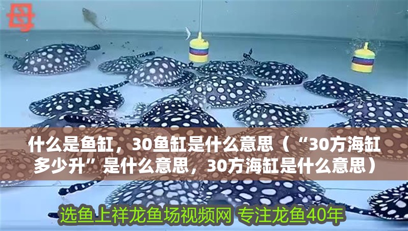 什么是魚缸，30魚缸是什么意思（“30方海缸多少升”是什么意思，30方海缸是什么意思）