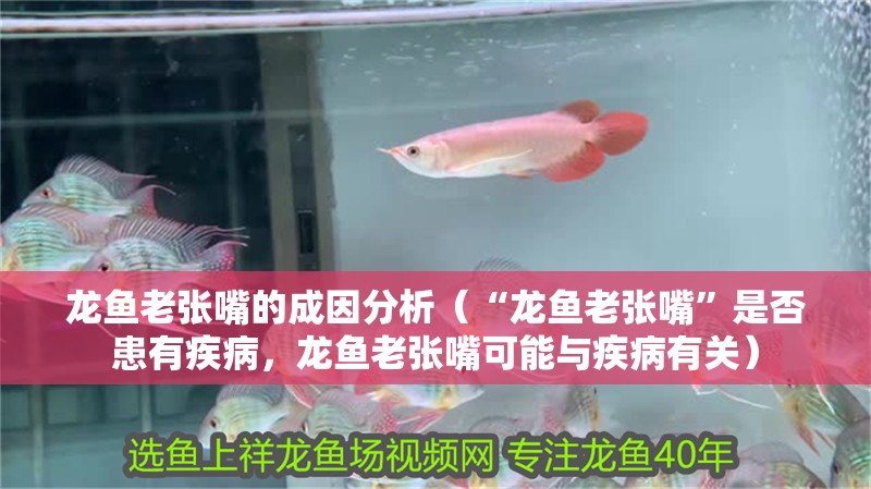 龍魚老張嘴的成因分析（“龍魚老張嘴”是否患有疾病，龍魚老張嘴可能與疾病有關）