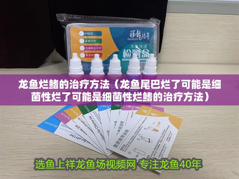 龍魚爛鰭的治療方法（龍魚尾巴爛了可能是細(xì)菌性爛了可能是細(xì)菌性爛鰭的治療方法）