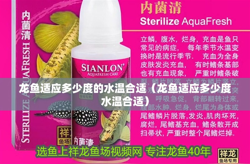 龍魚適應多少度的水溫合適（龍魚適應多少度水溫合適）