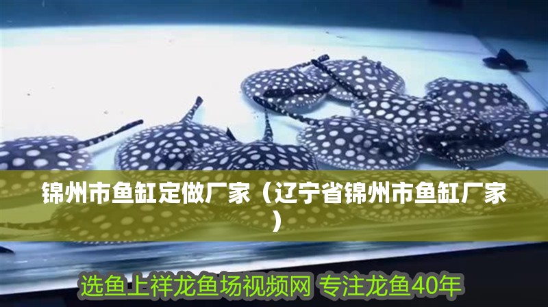 錦州市魚缸定做廠家（遼寧省錦州市魚缸廠家）