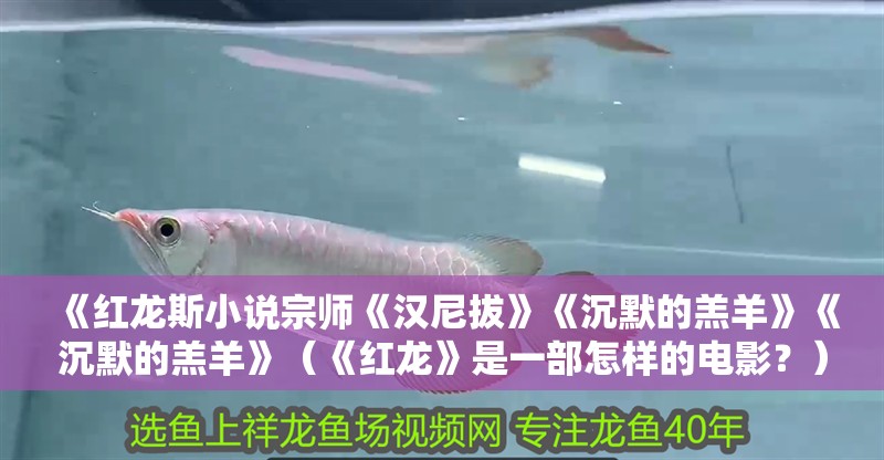 《紅龍斯小說宗師《漢尼拔》《沉默的羔羊》《沉默的羔羊》（《紅龍》是一部怎樣的電影？）